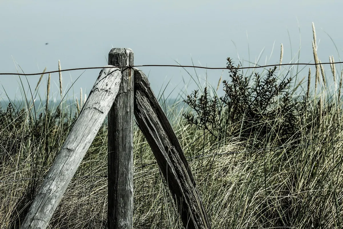 How to Read the Beaufort Scale for Kite Flying